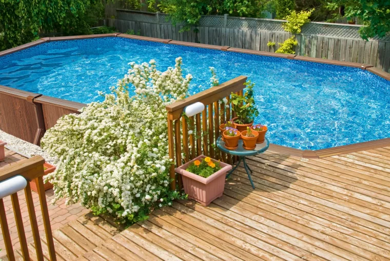 کرم استخر چیست و چه خطراتی برای شناگران دارد؟